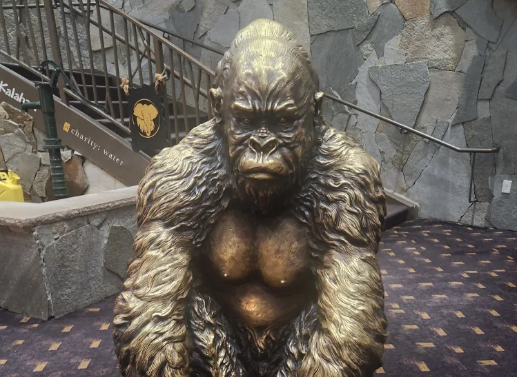 Disapproving gorilla